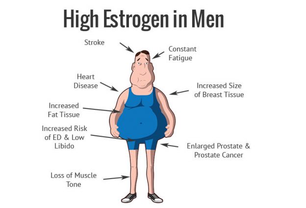 Effects of high Estrogen